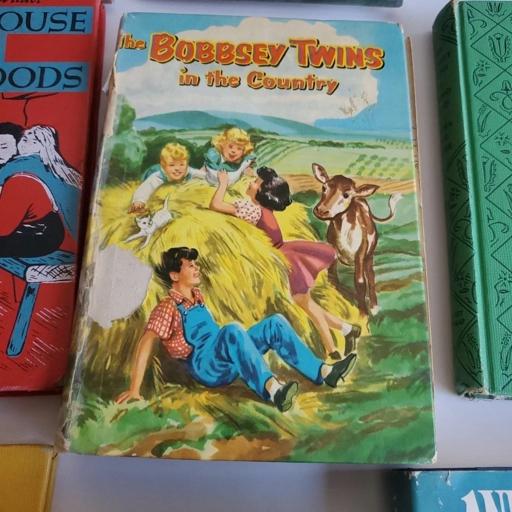 LITTLE HOUSE IN THE BIG WOODS Laura Ingalls Wilder Homeschool Lot 13 Bobbsy Twin